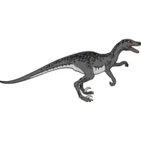 RAPTOR (Win)