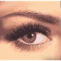 MrViewer (Mac)