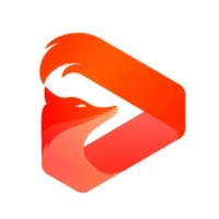 StreamFox for Video (Win)